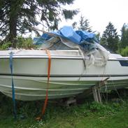 Regal majestic 210 xl