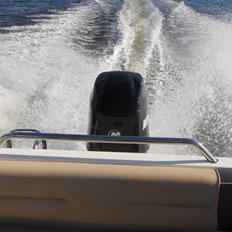 Flipper 520