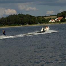 Flipper 520