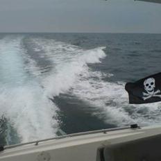 Bayliner Avanti 