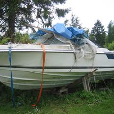 Regal majestic 210 xl