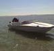 Mustang Waverider (SOLGT)