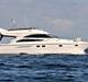 Princess 50