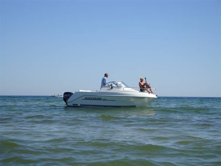 Quicksilver 520 Cruiser billede 16