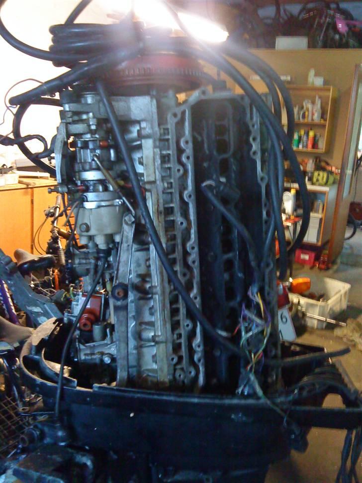 Mustang shakespeare solgt - tidligere motor. billede 6