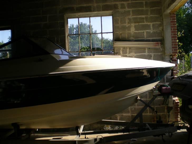 Champion Champion billede 8