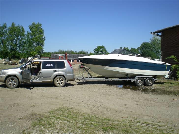 Champion Champion billede 9