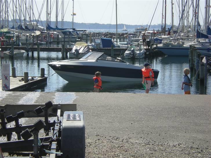 Champion Champion billede 10