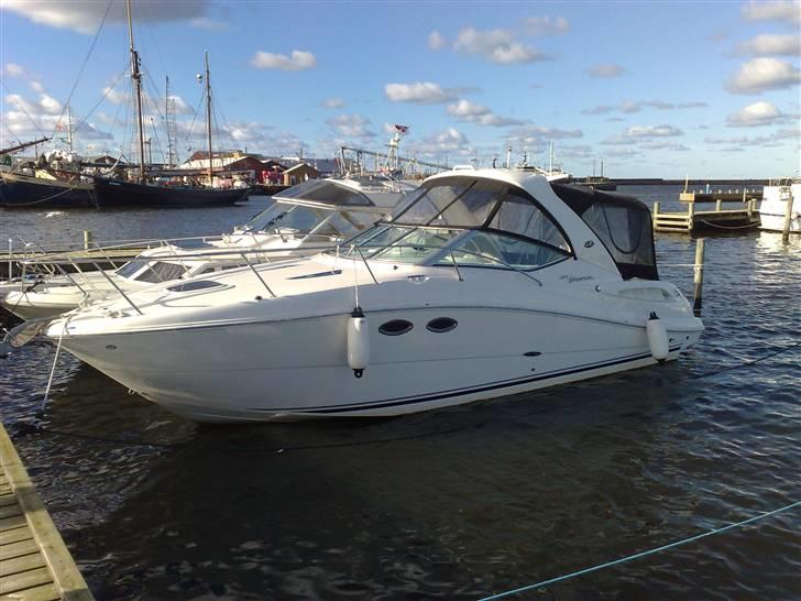 Sea Ray 325 sundancer billede 1