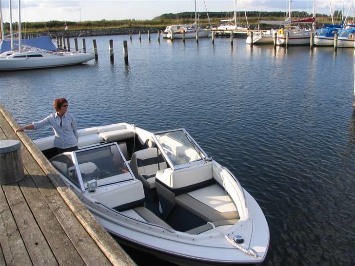 Bayliner 1950 Capri  -  I Fjordparken Marina Aalborg billede 4