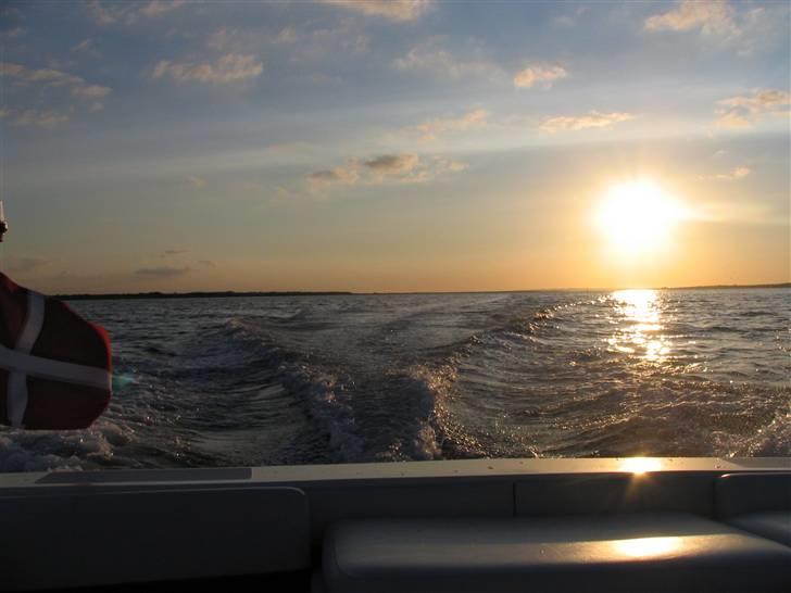 Bayliner 1950 Capri  - Limfjorden mod vest billede 6