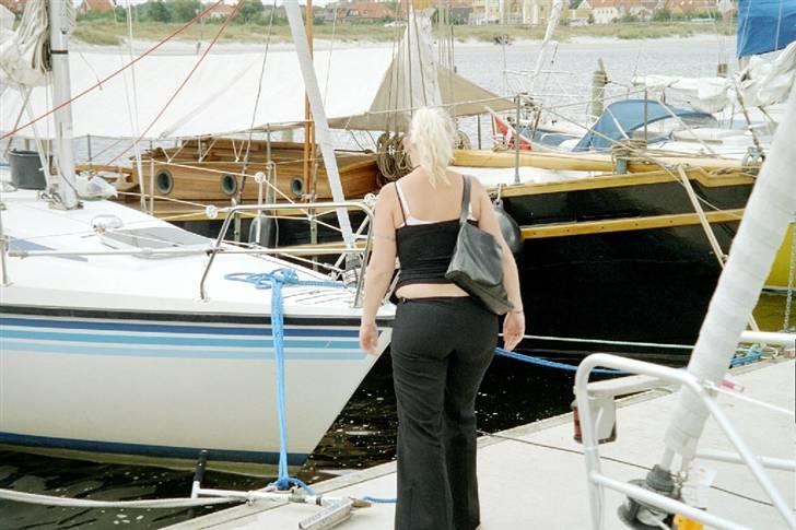 Sunwind 27 billede 13