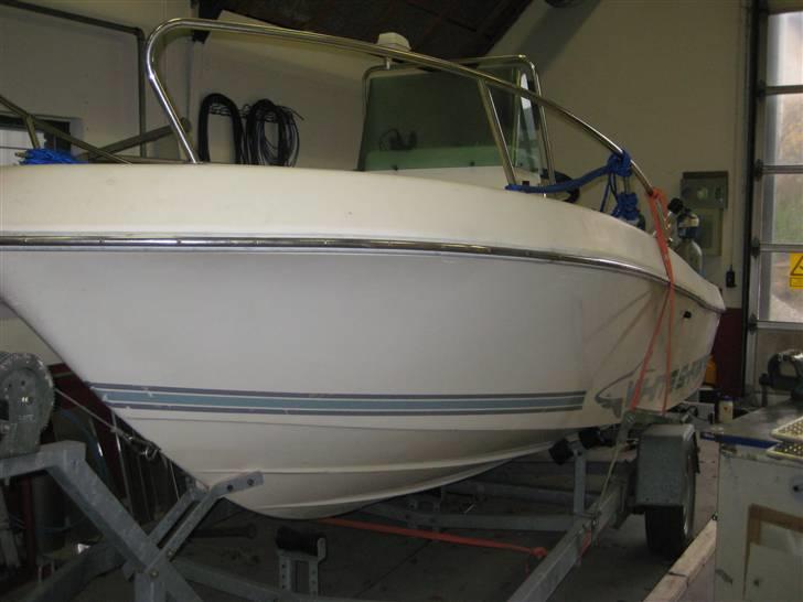 X White Shark billede 2
