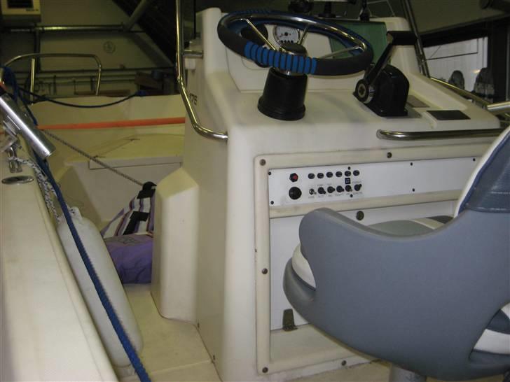 X White Shark billede 5