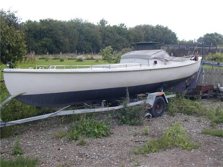 Jagt Hornsyld billede 1