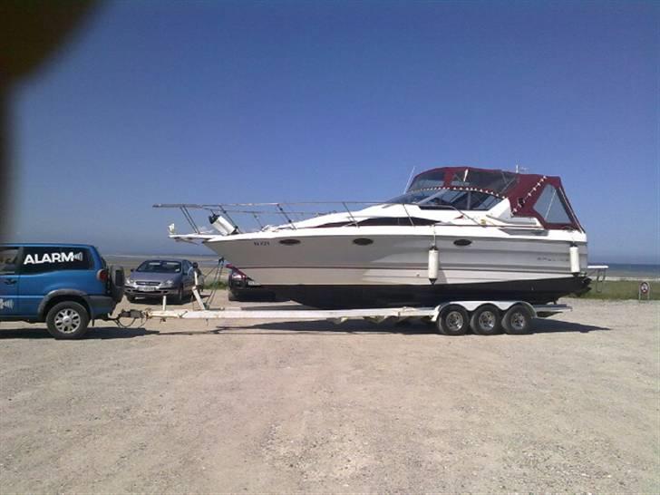 Bayliner Avanti  billede 1