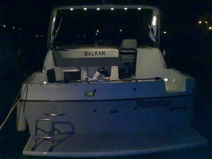 Bayliner Avanti  billede 8