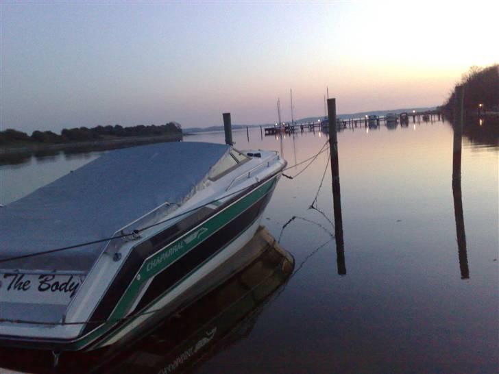 Chaparral 2350 SX - fin aften i havnen billede 4