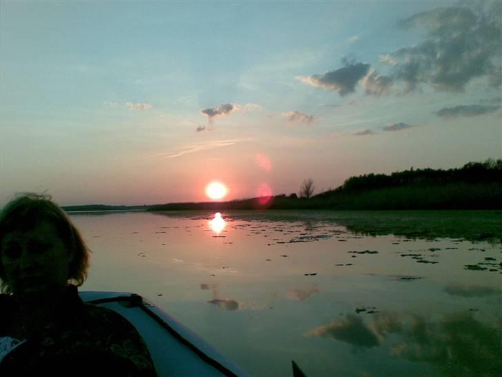 Gummibåd navigator**solgt** billede 6