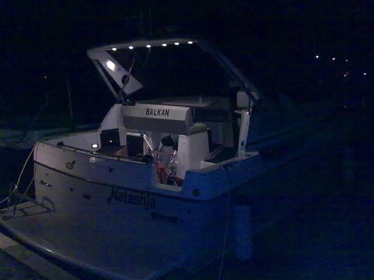 Bayliner Avanti  billede 12