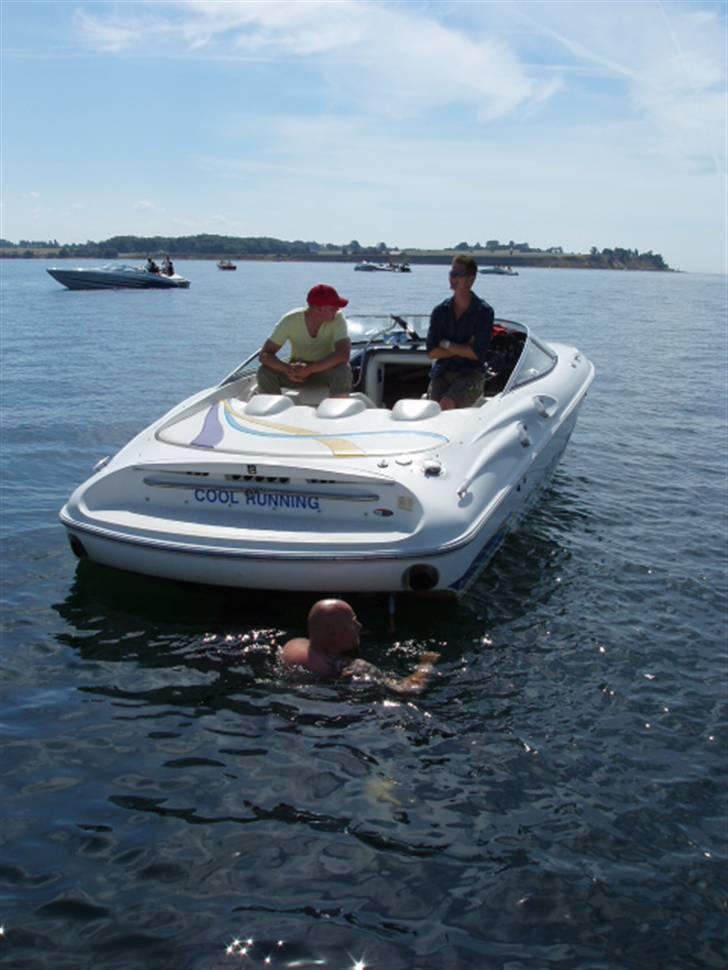 Bayliner Arriva 2250/ Solgt  billede 9