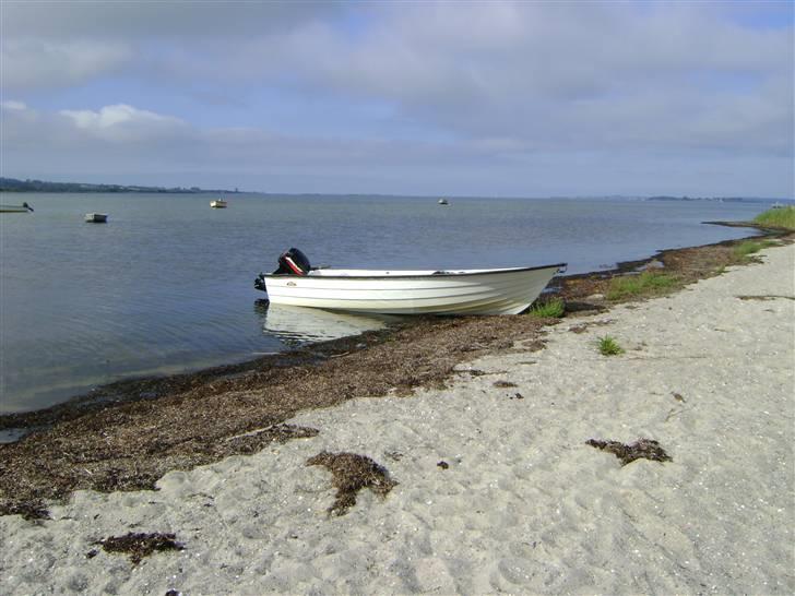 Ryds 435 det er min gamle båd billede 14