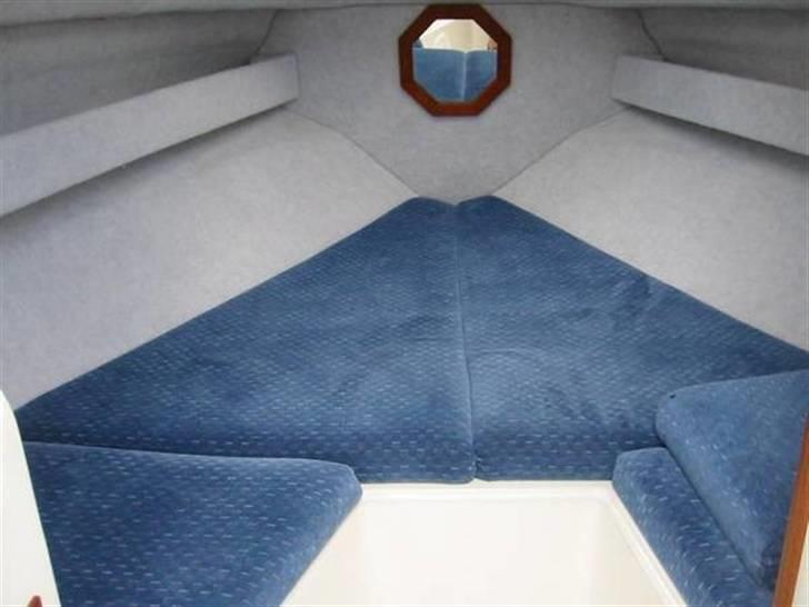 Drago 600 Fiesta billede 6