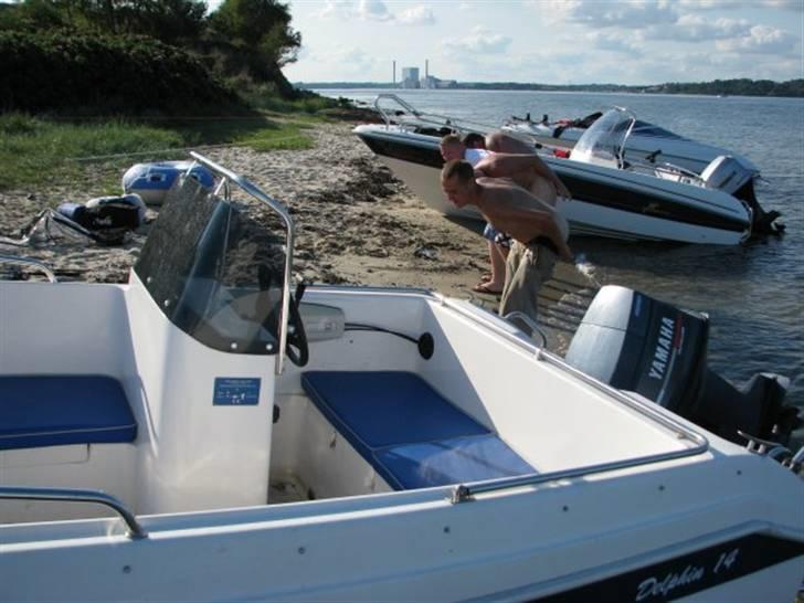 X Delphin 14 - Viser bar r.. til et gammelt sejlskib fyldt med mennesker.. senere da de sejlede forbi igen, stod der 20 mand med røven bar´:-).. sejlskibet tudede i hornet og de klappede og grinede allesammen :-) billede 6