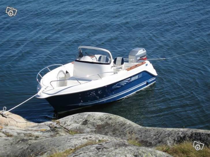 Ørnvik CLX 550 Commander  billede 6