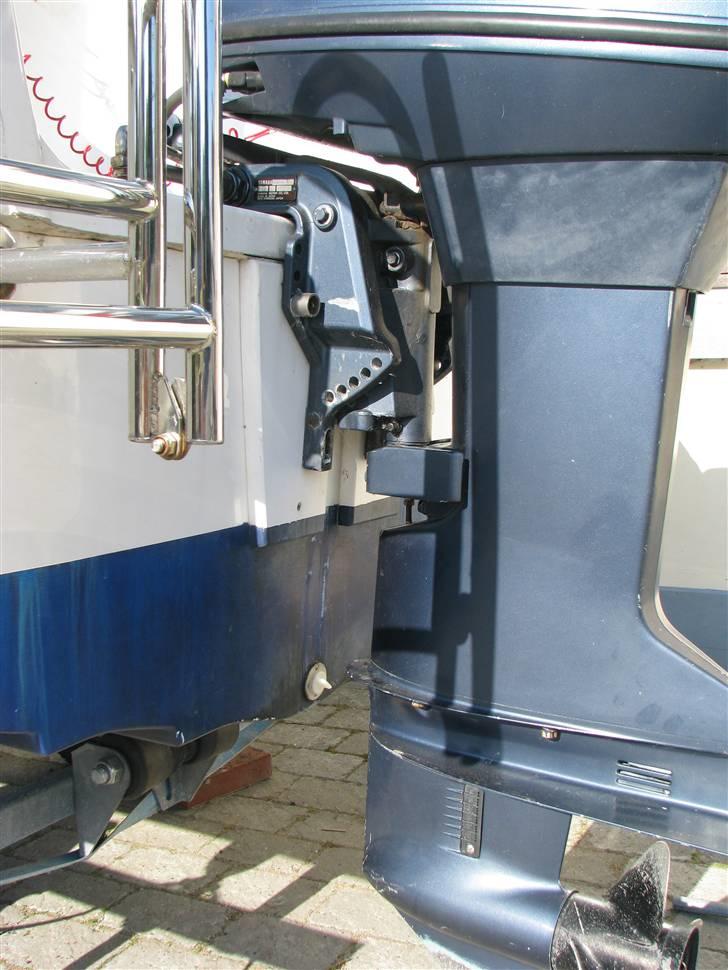 X Delphin 14 billede 7