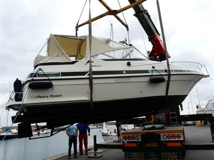 Scand 7800 Nautic - På land for besigtigelse og udskiftning af søventil. (i forbindelse med overtagelse af båden) billede 7