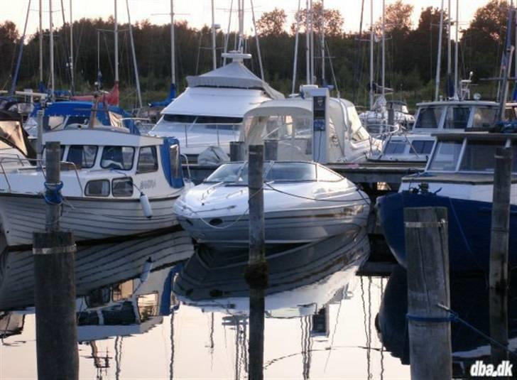 Mariah Z 250 billede 6