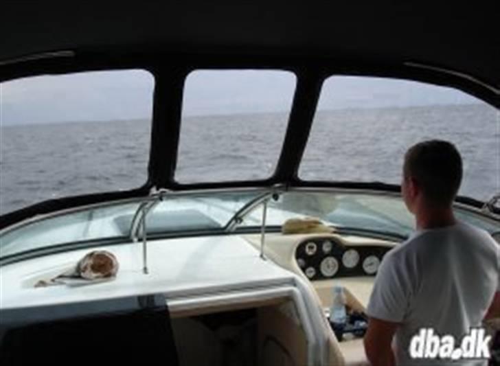 Mariah Z 250 billede 9