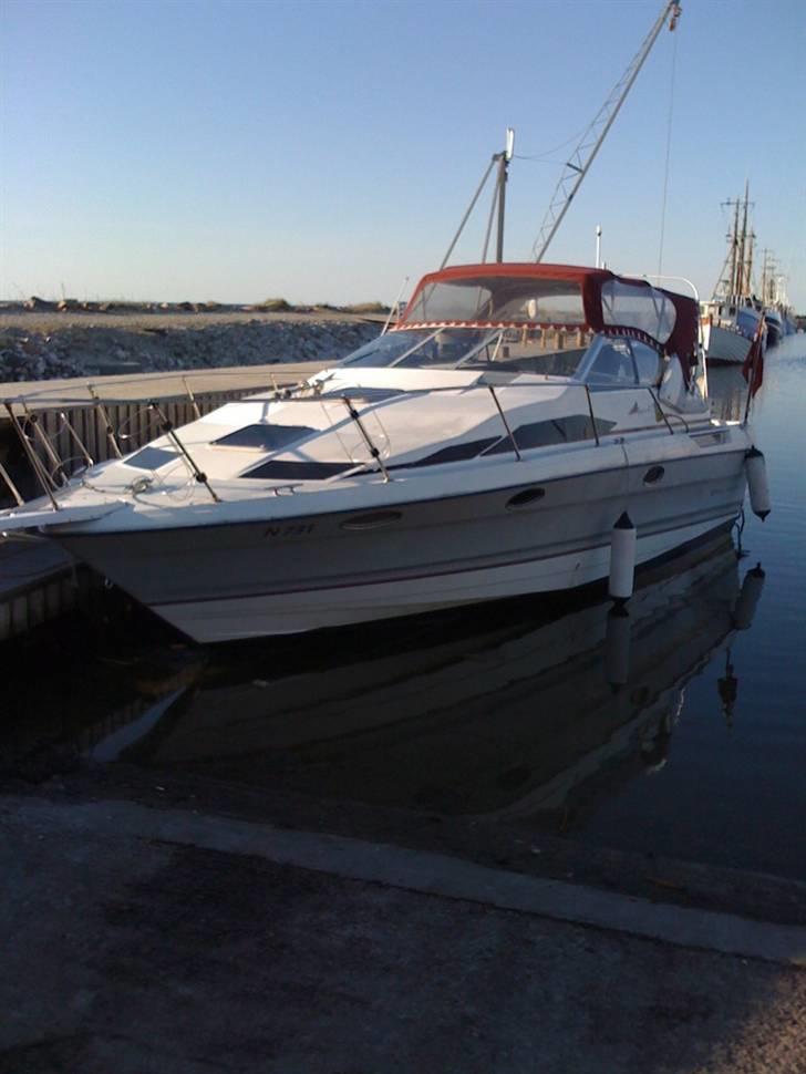 Bayliner Avanti  billede 13