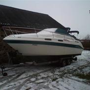 Sea Ray 230 sundancer