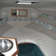 Sea Ray 230 sundancer