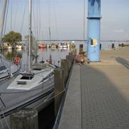 Luffe 37