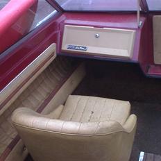 Glastron V-194 XL