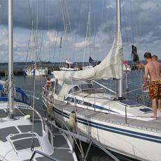 Luffe 37
