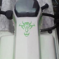 Kawasaki js300
