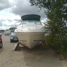 Sea Ray 240 sundancer
