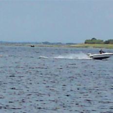 Fletcher Arrowsprint 130