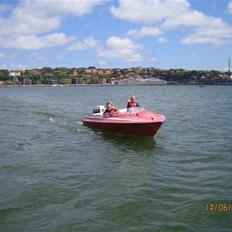 Labrador 153