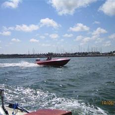 Labrador 153
