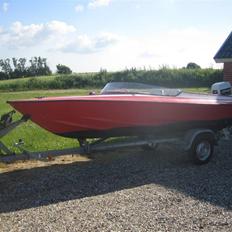 Labrador 153