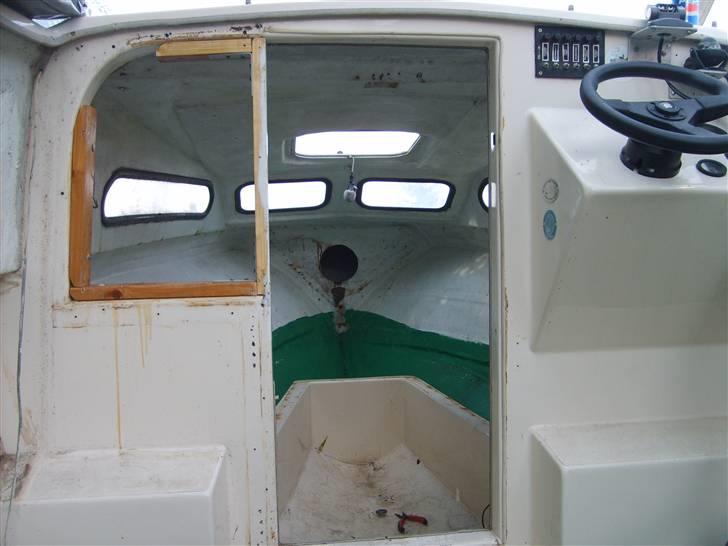 Shetland 570 billede 5