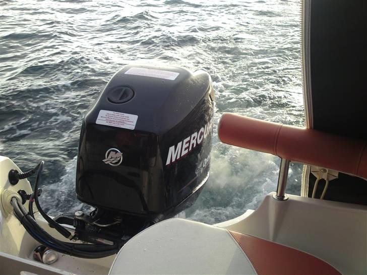 Ørnvik 510 Cruiser Optimax billede 10