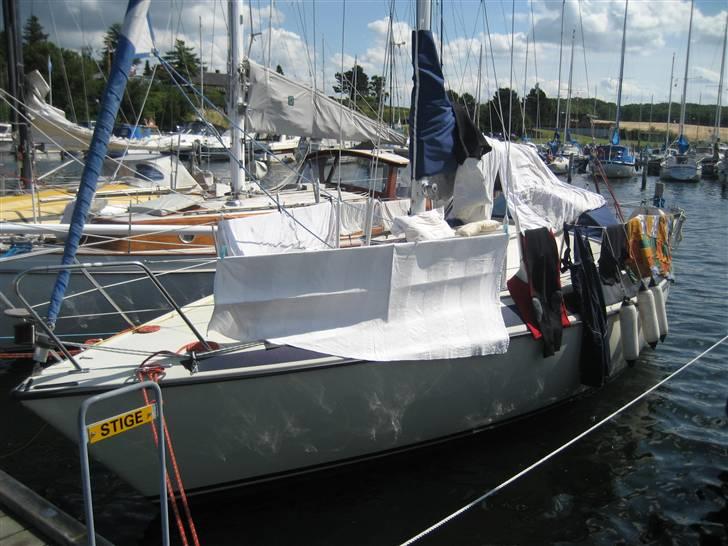 Maxi 84 - Vordingborg Sommer 2008, efter en våd tur i Fakse Bugt.... :-(((( billede 3