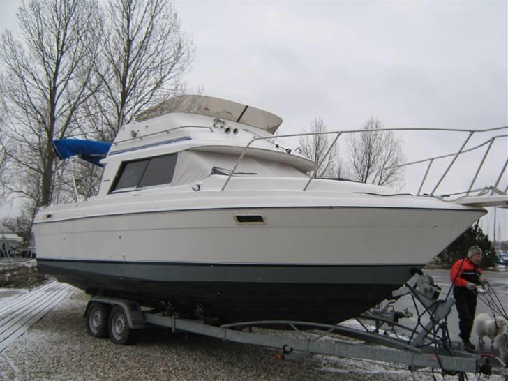 Bayliner 2556 Cierra CommandBridge billede 12