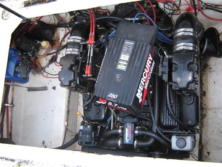 Bayliner 2556 Cierra CommandBridge billede 4